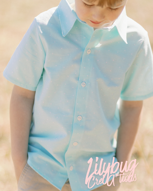 Boys Spring Button Down Shirt